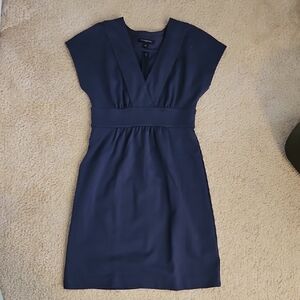 Banana Republic Factory Blue Sheath Dress with V-Neck and Cap Dolman Sleeves